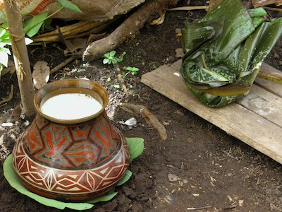 Andoa pottery jar for fermenting chicha